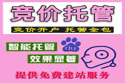 竞价托管成功案例：如何选择合适的托管方案？