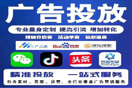 SEM主管实战：案例分析与优化策略